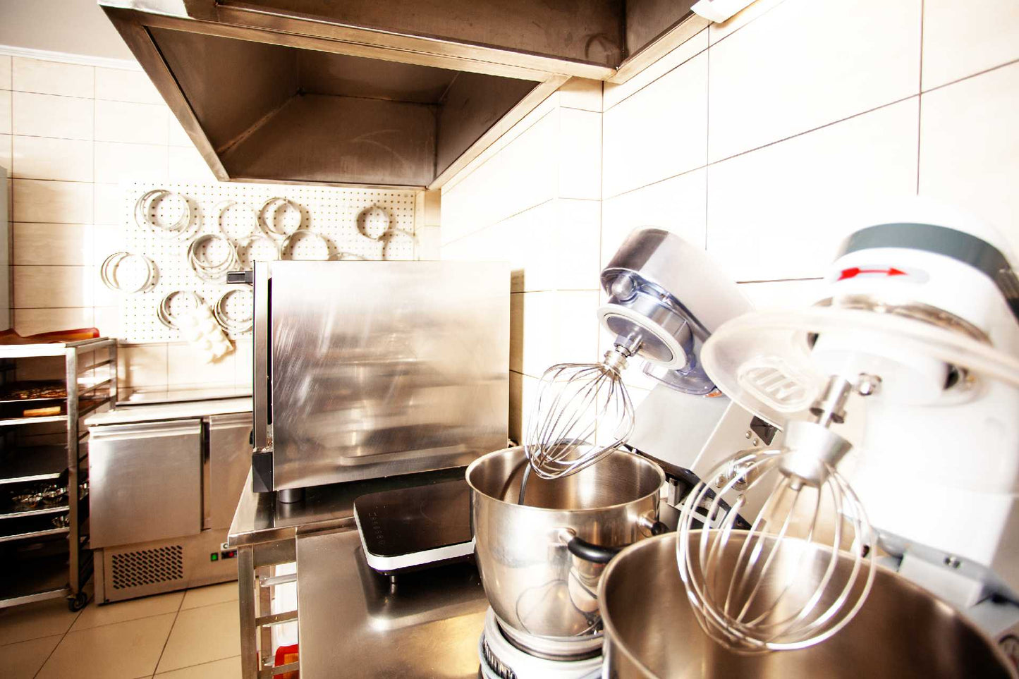 Service și Reparații Malaxoare de Carne și Aluat pentru HoReCa